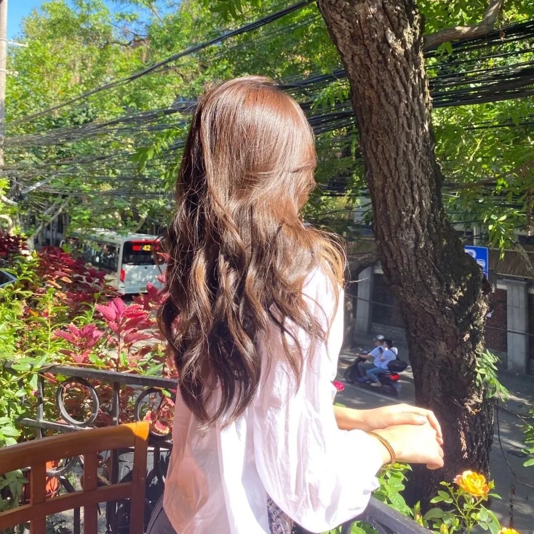 斯隆女士 在线观看