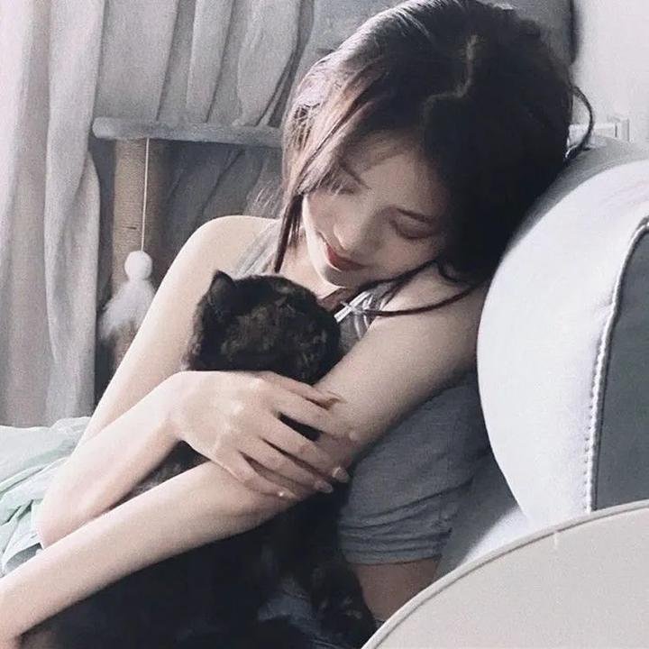 猫和老鼠2014第四季 在线观看